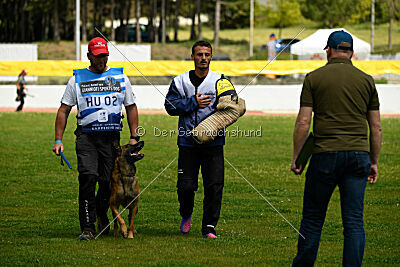 Boyka de Fontemordant