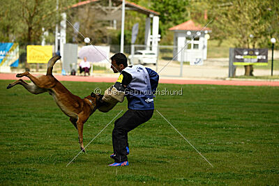 Boyka de Fontemordant