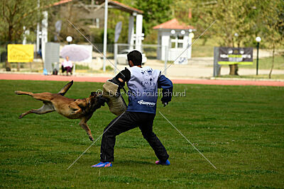 Boyka de Fontemordant