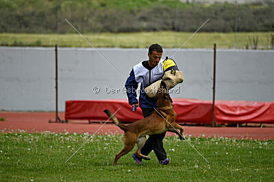 Boyka de Fontemordant