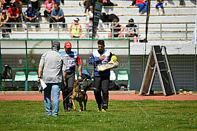 Boyka de Fontemordant