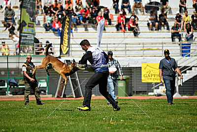 Boyka de Fontemordant