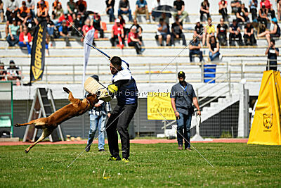 Boyka de Fontemordant