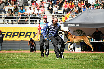 Boyka de Fontemordant