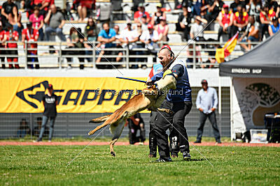 Boyka de Fontemordant