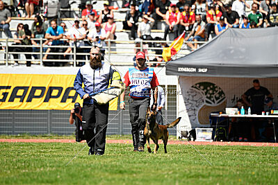 Boyka de Fontemordant