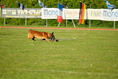 Boyka de Fontemordant