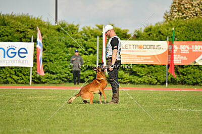 Boyka de Fontemordant