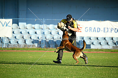 Boyka de Fontemordant