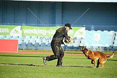 Boyka de Fontemordant