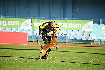 Boyka de Fontemordant