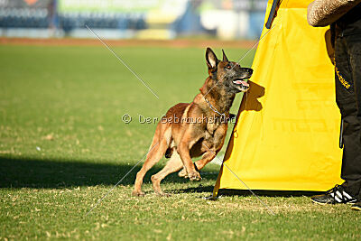 Boyka de Fontemordant