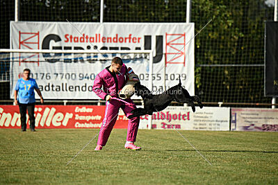 Branka vom Lindelbrunn