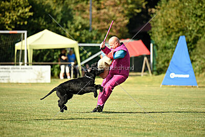 Branka vom Lindelbrunn