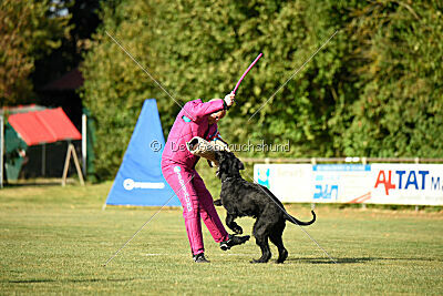 Branka vom Lindelbrunn