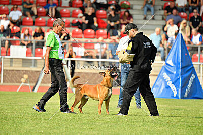 Branko von Haus ReKO