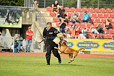 Branko von Haus ReKO