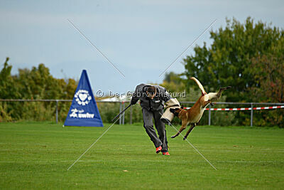 Brave Brisko von den zauberhaften Teufeln