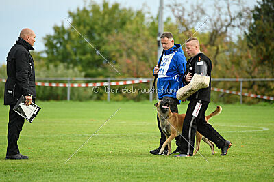 Brave Brisko von den zauberhaften Teufeln