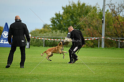 Brave Brisko von den zauberhaften Teufeln