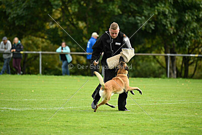 Brave Brisko von den zauberhaften Teufeln