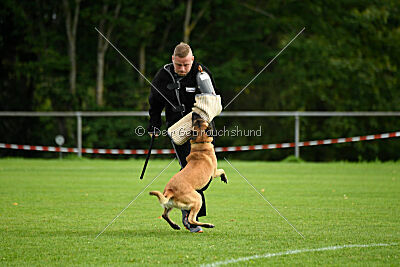 Brave Brisko von den zauberhaften Teufeln