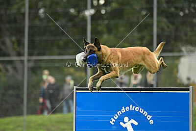 Brave Brisko von den zauberhaften Teufeln