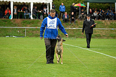 Brave Brisko von den zauberhaften Teufeln