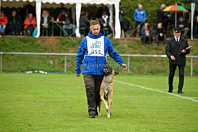 Brave Brisko von den zauberhaften Teufeln