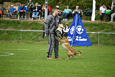 Bree Bonfire von Zamonien