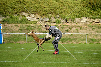 Bree Bonfire von Zamonien