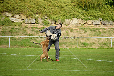 Bree Bonfire von Zamonien