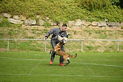 Bree Bonfire von Zamonien