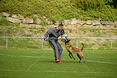 Bree Bonfire von Zamonien