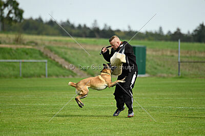 Bree Bonfire von Zamonien