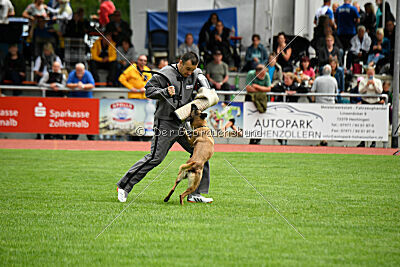 Bree Bonfire von Zamonien