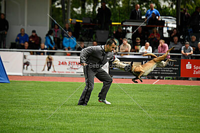 Bree Bonfire von Zamonien