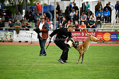 Bree Bonfire von Zamonien