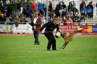 Bree Bonfire von Zamonien