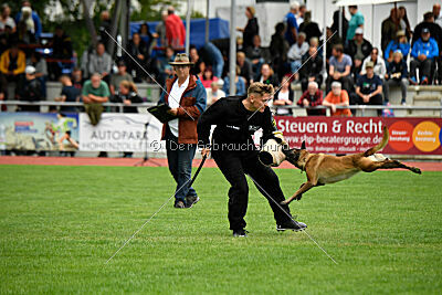 Bree Bonfire von Zamonien