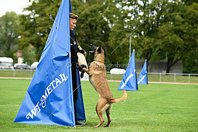 Bree Bonfire von Zamonien