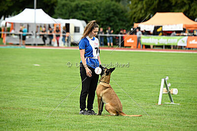 Bree Bonfire von Zamonien