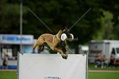 Bree Bonfire von Zamonien