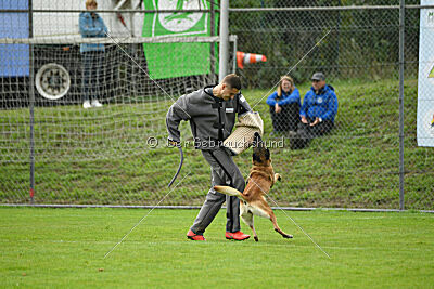 Brianna vom Giannioti Sports Dog