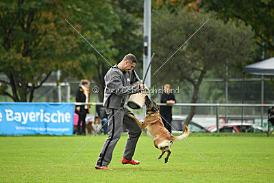 Brianna vom Giannioti Sports Dog