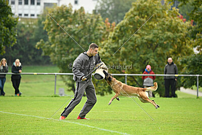 Brianna vom Giannioti Sports Dog