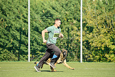 Brix vom Kattenstedter Busch