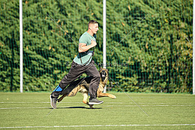 Brix vom Kattenstedter Busch