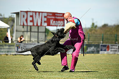 Brösel vom Lindelbrunn