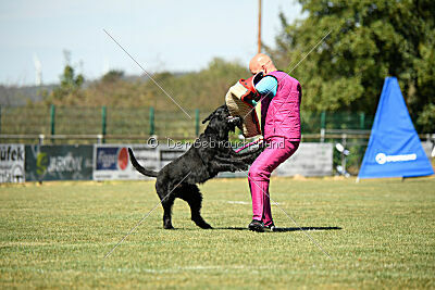 Brösel vom Lindelbrunn